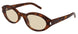 008 - Havana - Brown