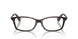 3002 - Brown