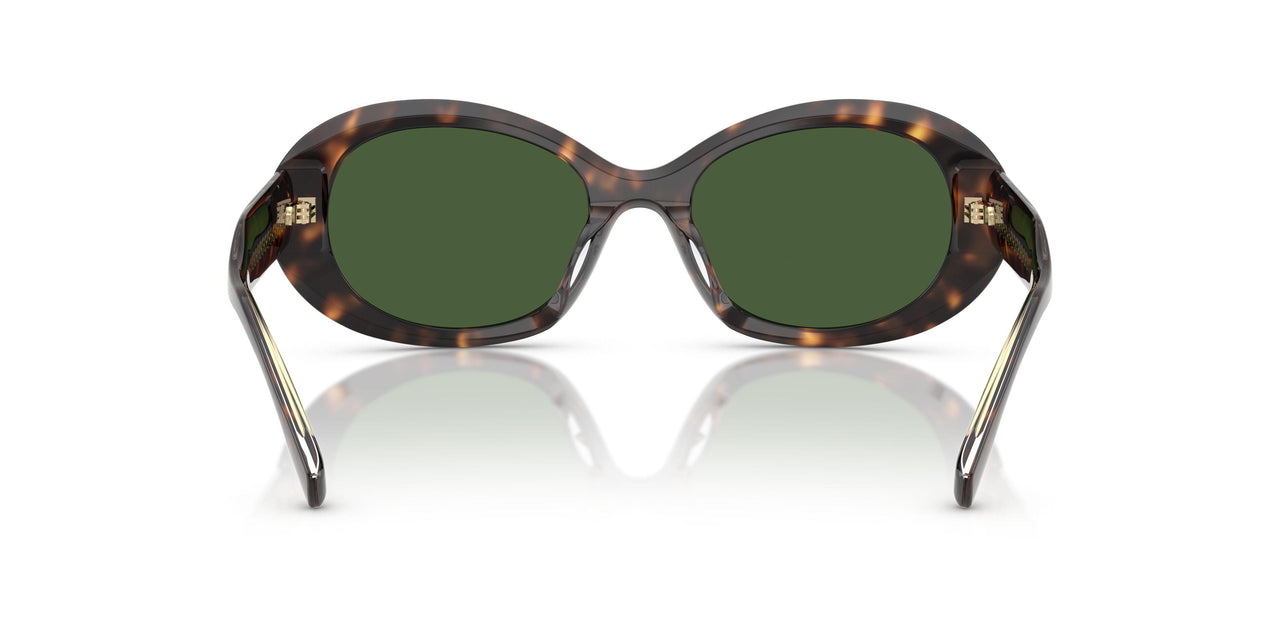 172871 - Tortoise - Dark Green