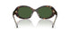 172871 - Tortoise - Dark Green