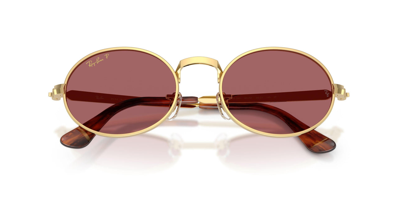 001/AF - Gold - Purple Polarized