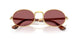 001/AF - Gold - Purple Polarized