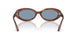 954/56 - Brown - Blue