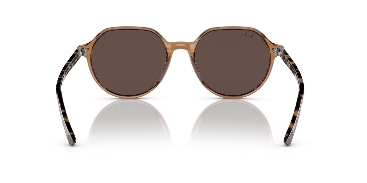 663693 - Brown - Brown Mirror Gold