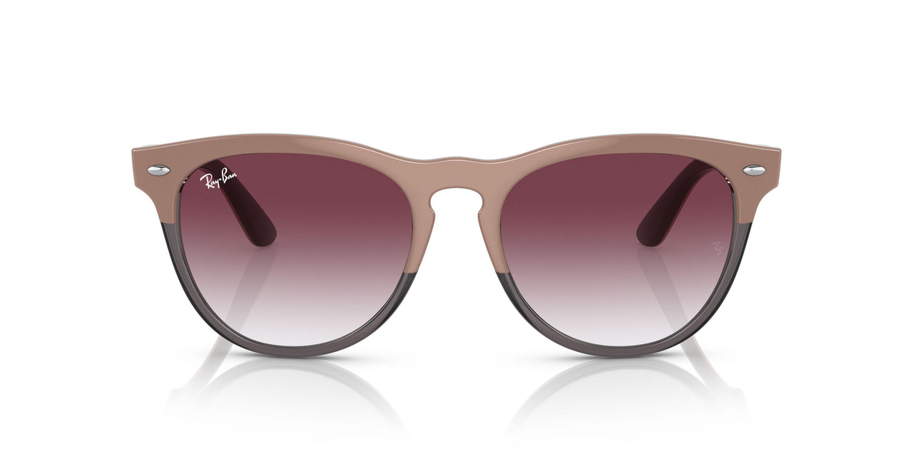 66338H - Light Brown - Clear Gradient Dark Violet