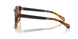 301189 - Tortoise - Light Brown Gradient Brown