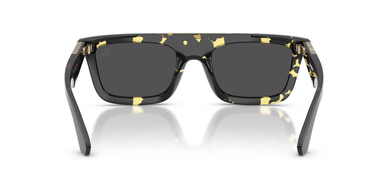 410687 - Tortoise - Dark Grey
