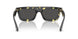 410687 - Tortoise - Dark Grey
