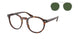 Polo 4218 Sunglasses