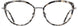 Cinzia CIN5173 Eyeglasses