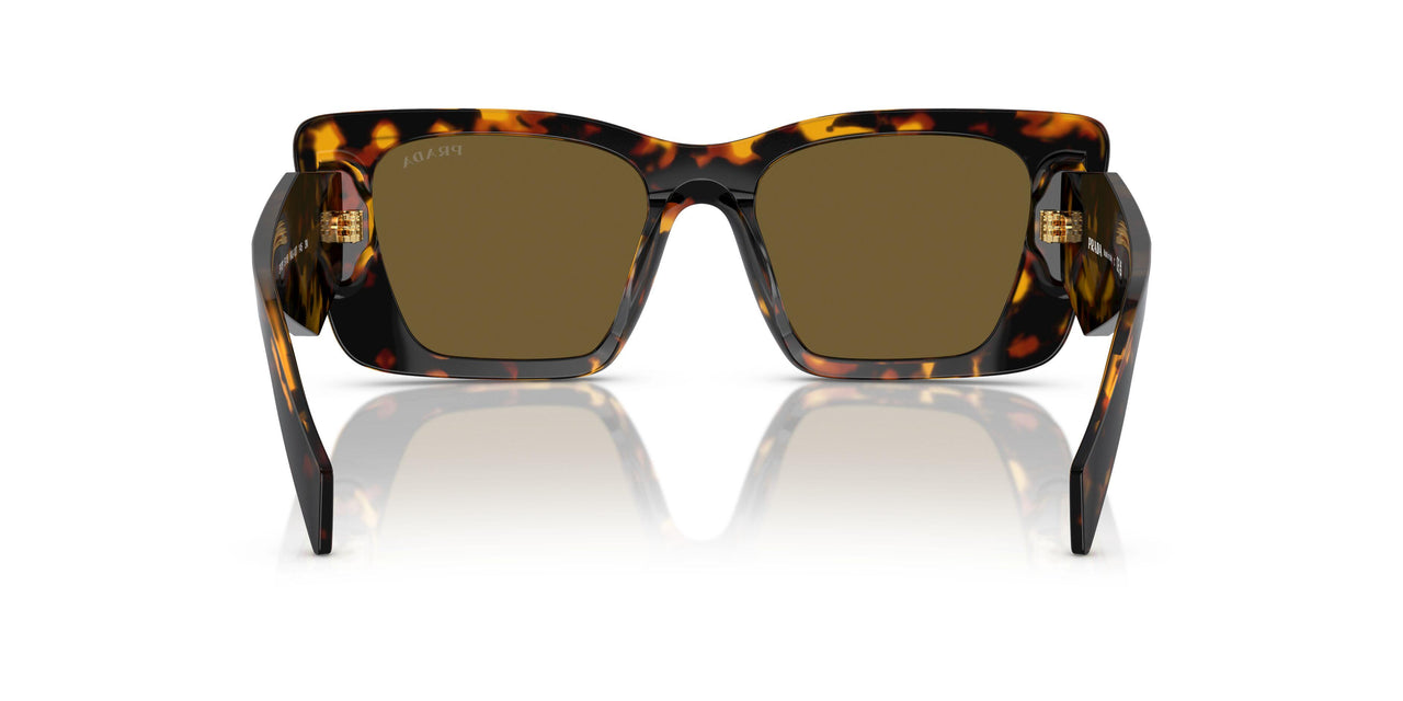 VAU01T - Tortoise - Dark Brown