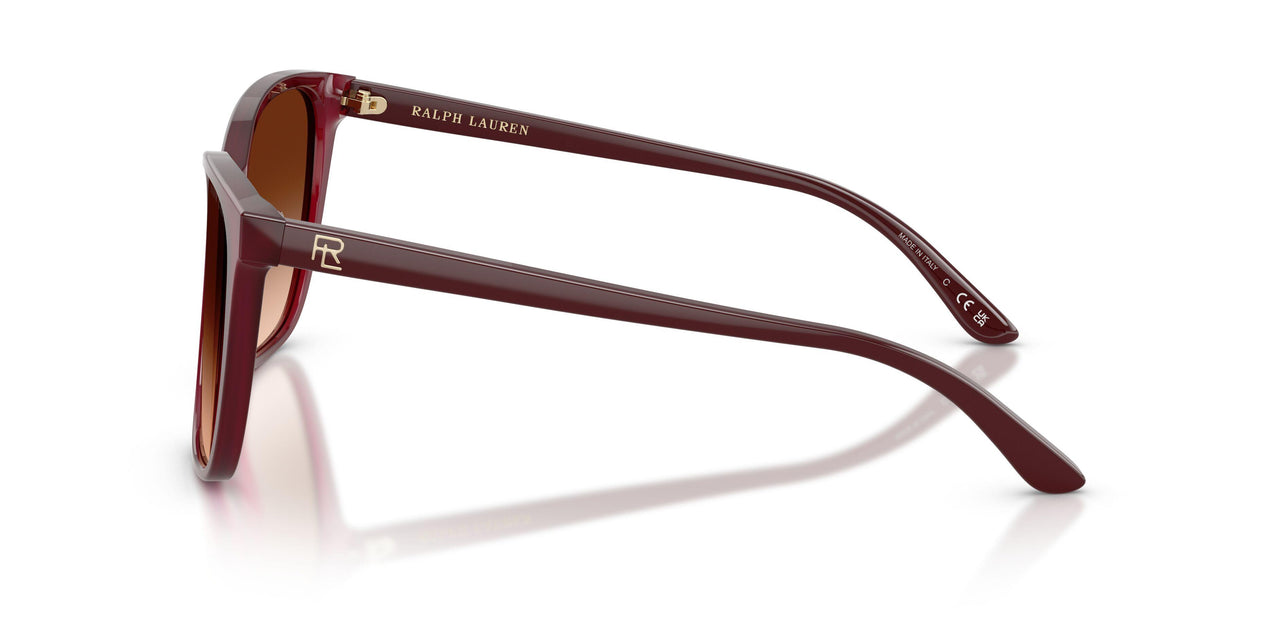 591274 - Violet - Gradient Brown