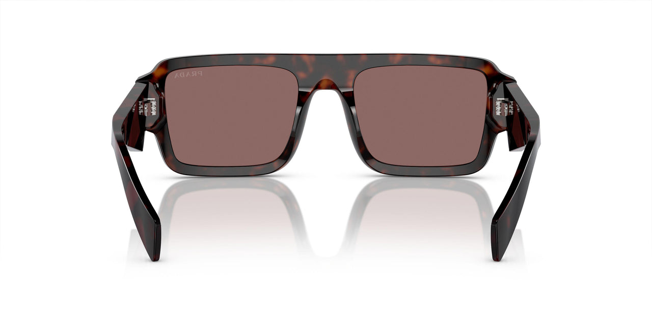 17N90B - Brown - Brown Mirror Internal Silver