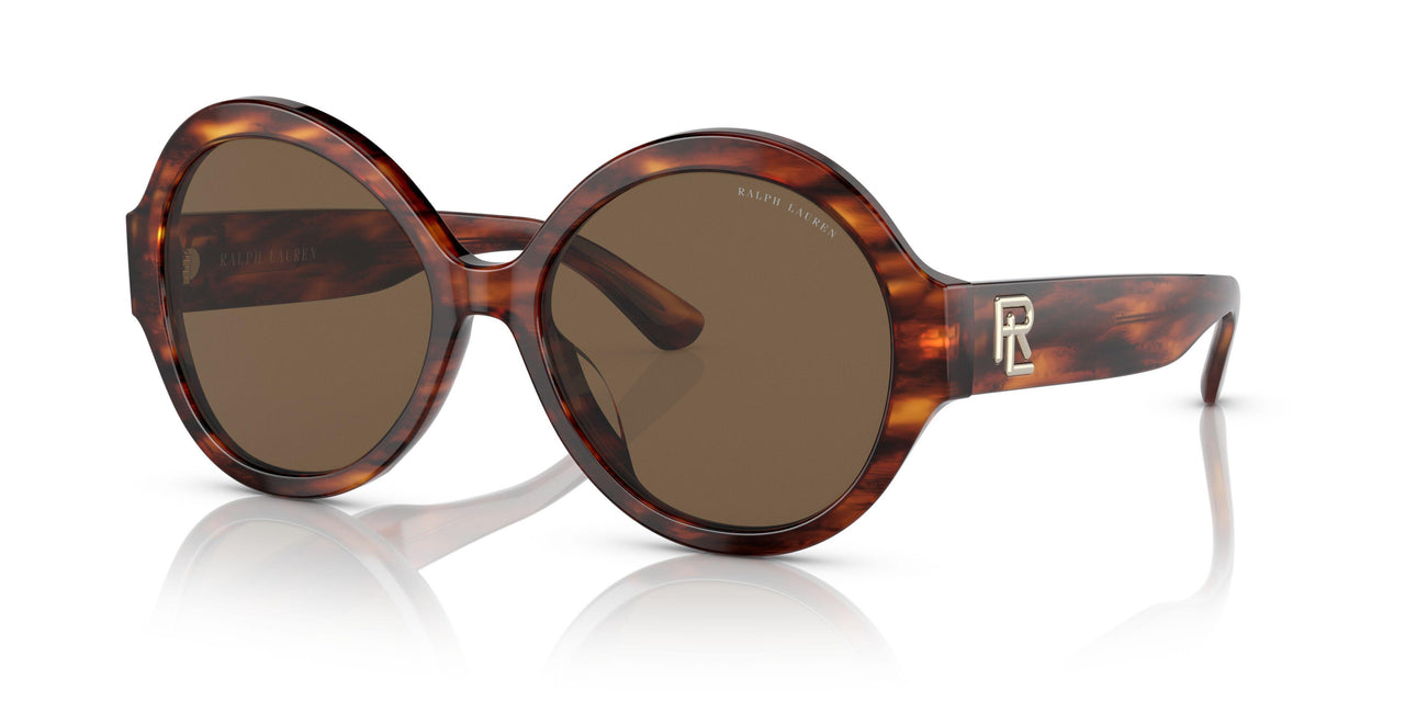 500773 - Havana - Brown