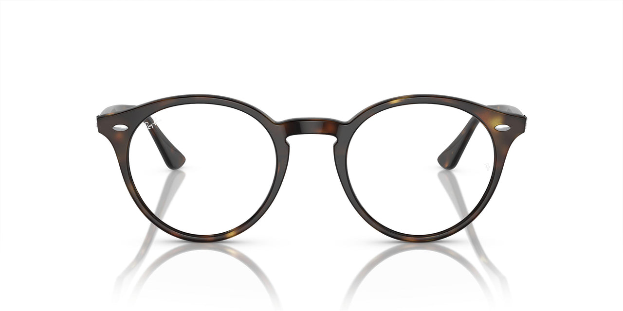 710/M1 - Havana - Photo Clear To Grey/green Quar