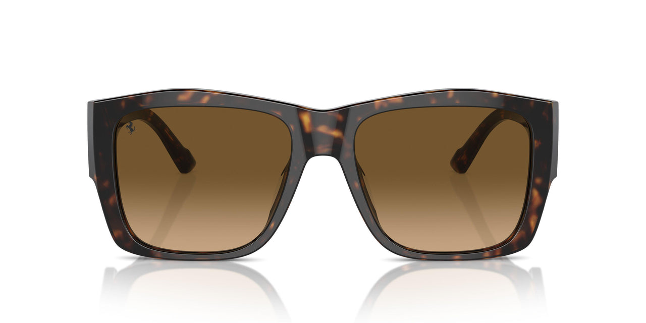 702/M2 - Tortoise - Polarized Brown Gradient