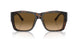702/M2 - Tortoise - Polarized Brown Gradient