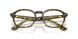 8487 - Tortoise - Clear