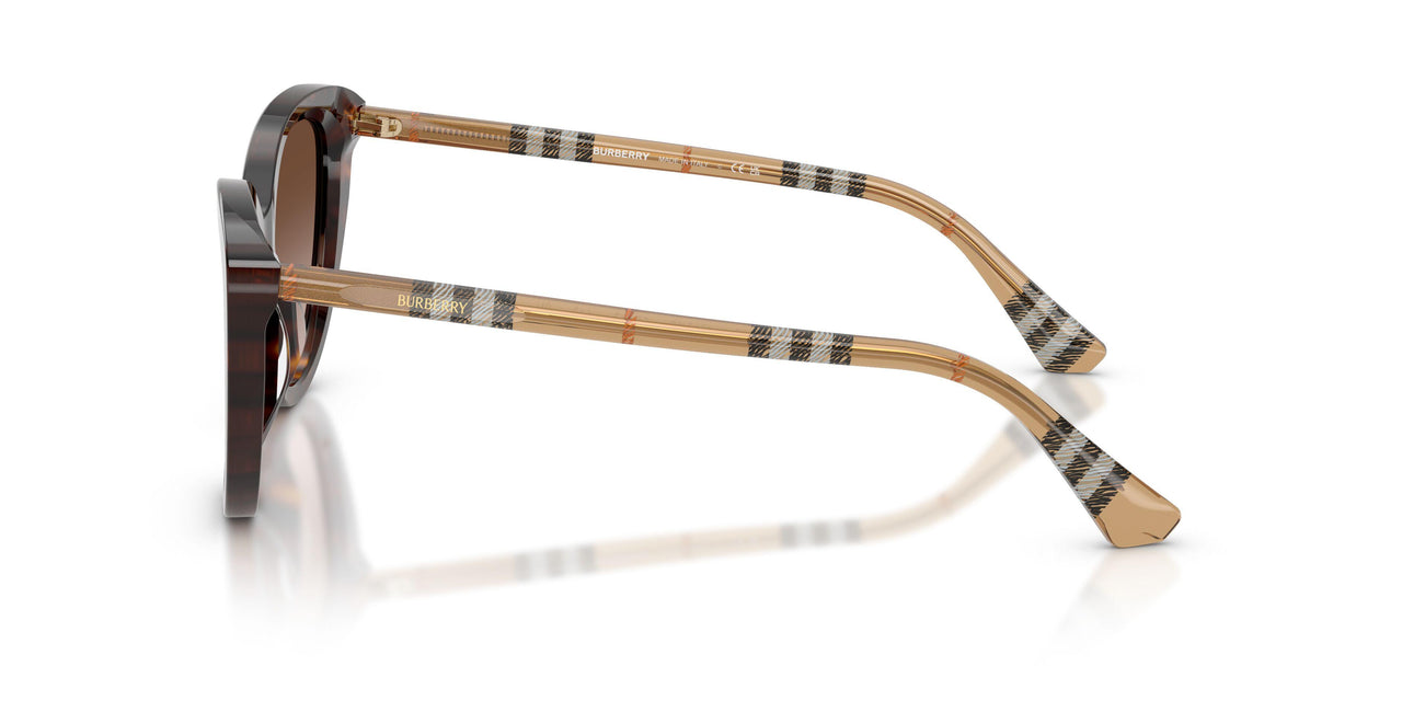 421613 - Brown - Brown Gradient