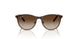 297/13 - Brown - Gradient Brown