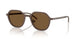 300693 - Copper - Brown