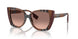 405413 - Brown - Pink Gradient Dark Brown
