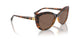W65673 - Brown - Dark Brown