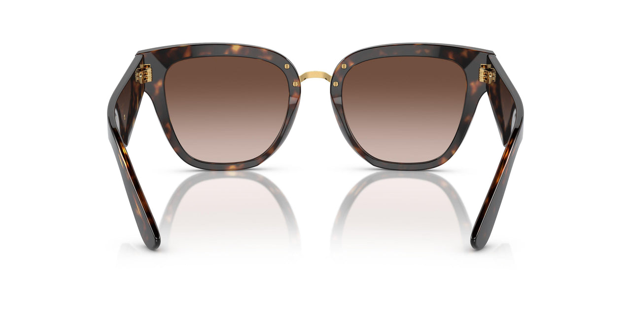 502/13 - Tortoise - Gradient Brown