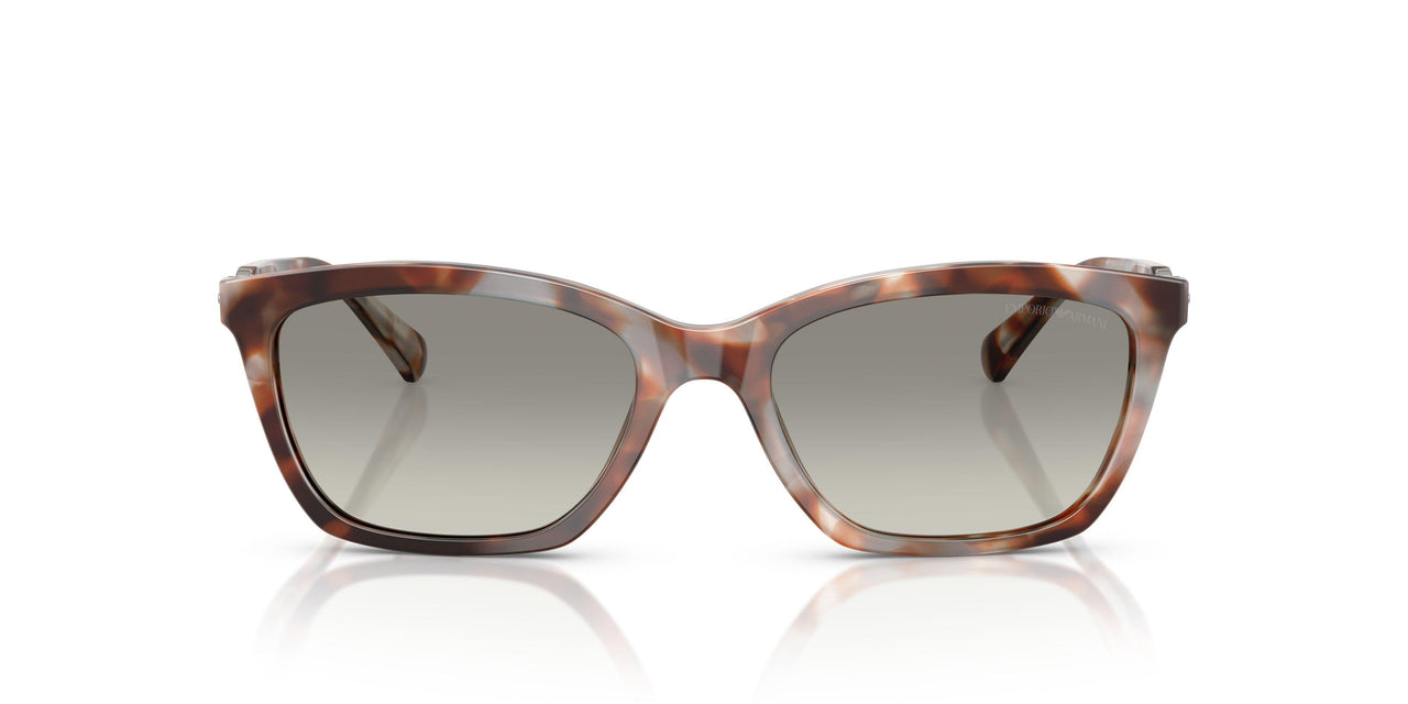 61953C - Tortoise - Grey Gradient