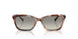 61953C - Tortoise - Grey Gradient