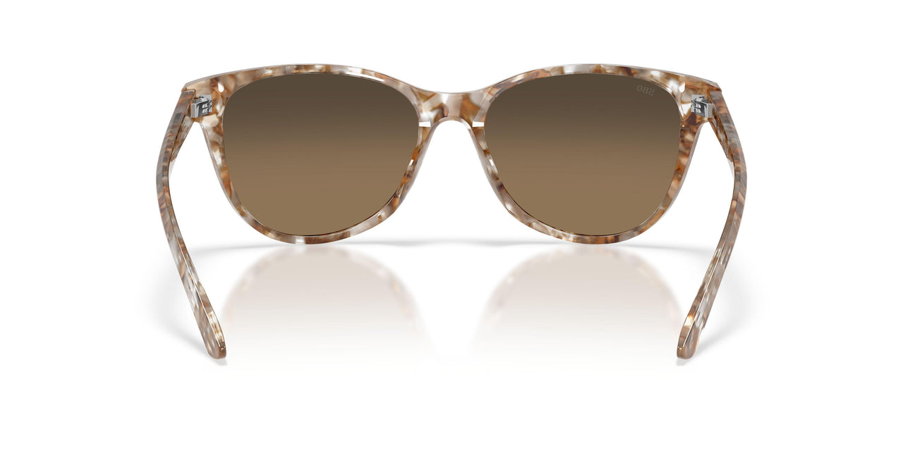 201211 - Tortoise - Copper Gradient