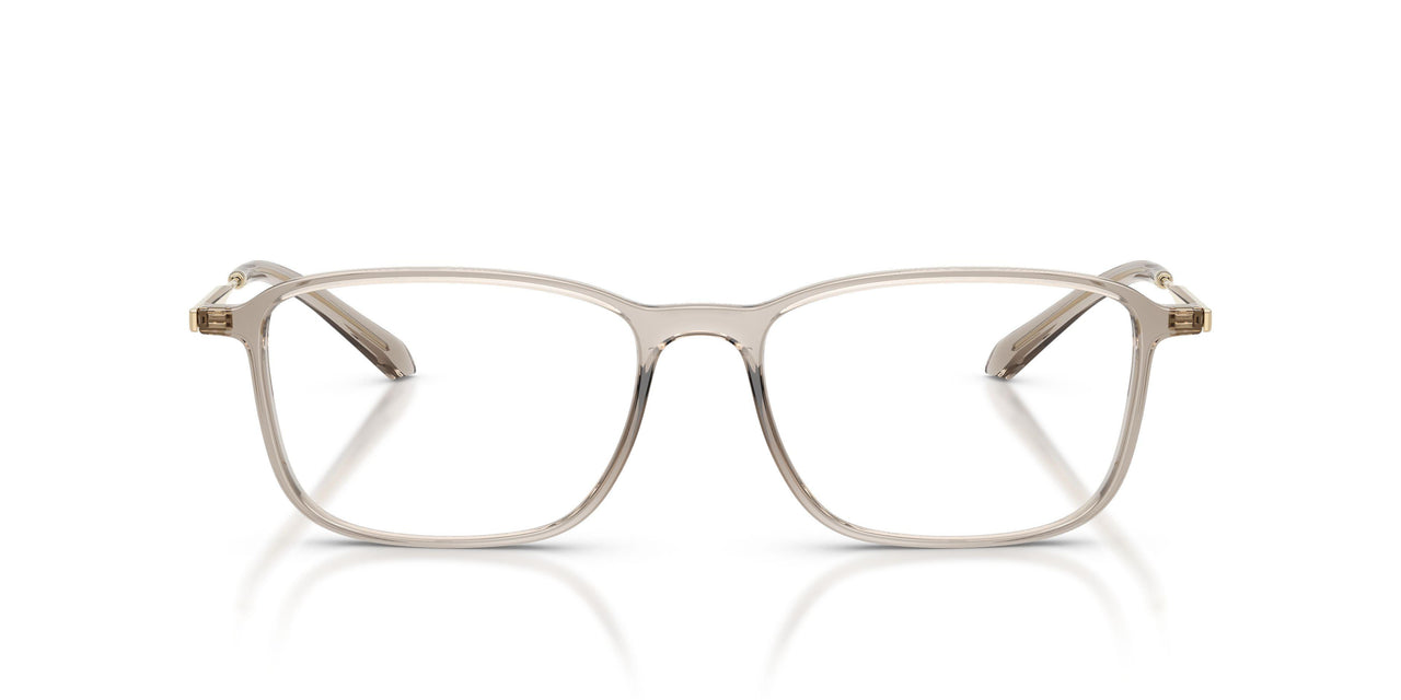 6486 - Brown