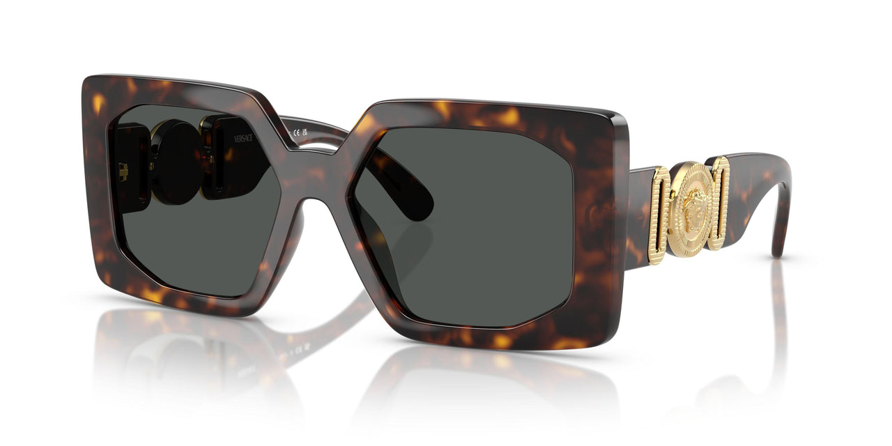 108/87 - Tortoise - Dark Grey
