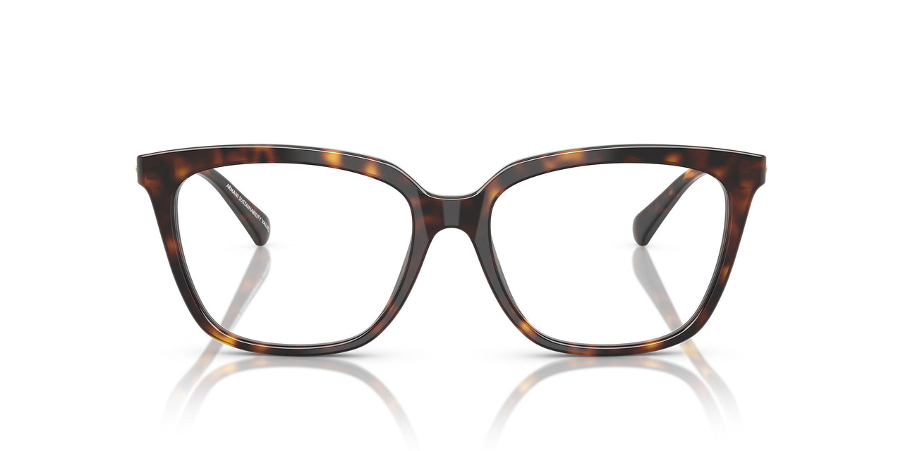 5026 - Tortoise