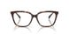 5026 - Tortoise