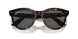 902/B1 - Tortoise - Dark Grey