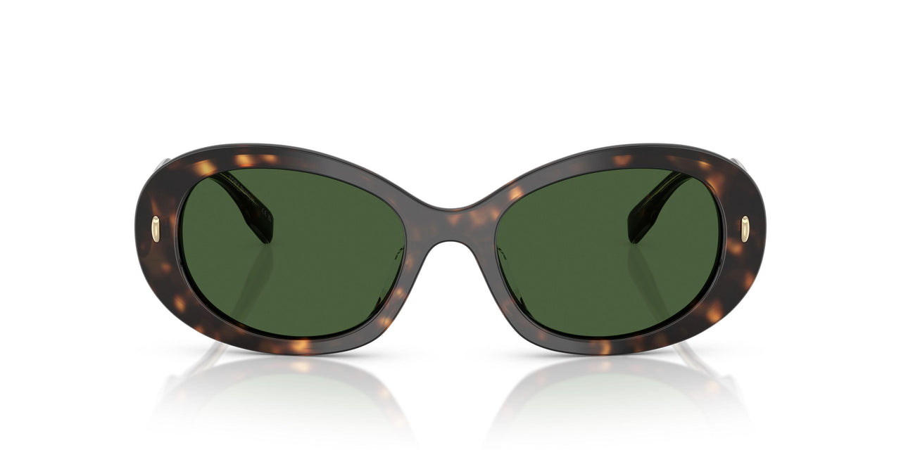 172871 - Tortoise - Dark Green