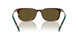 613773 - Tortoise - Olive Green