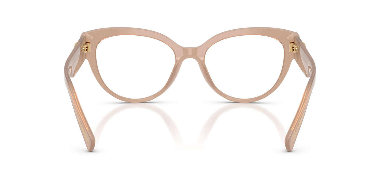 3042 - Brown