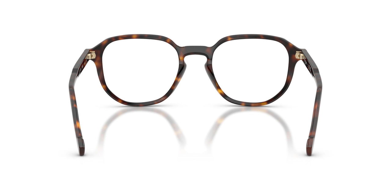 W656 - Brown
