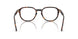 W656 - Brown