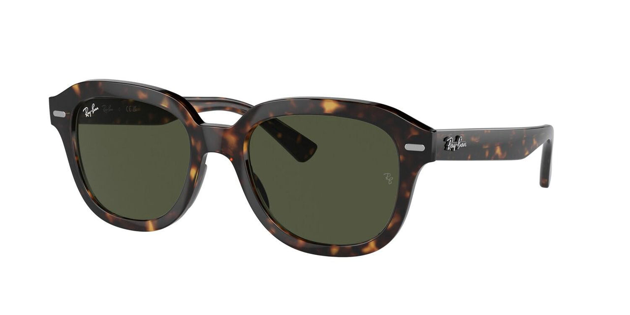 Ray-Ban Erik 4398 Sunglasses