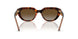 W656T5 - Brown - Gradient Brown Polar