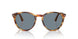 904356 - Brown - Blue