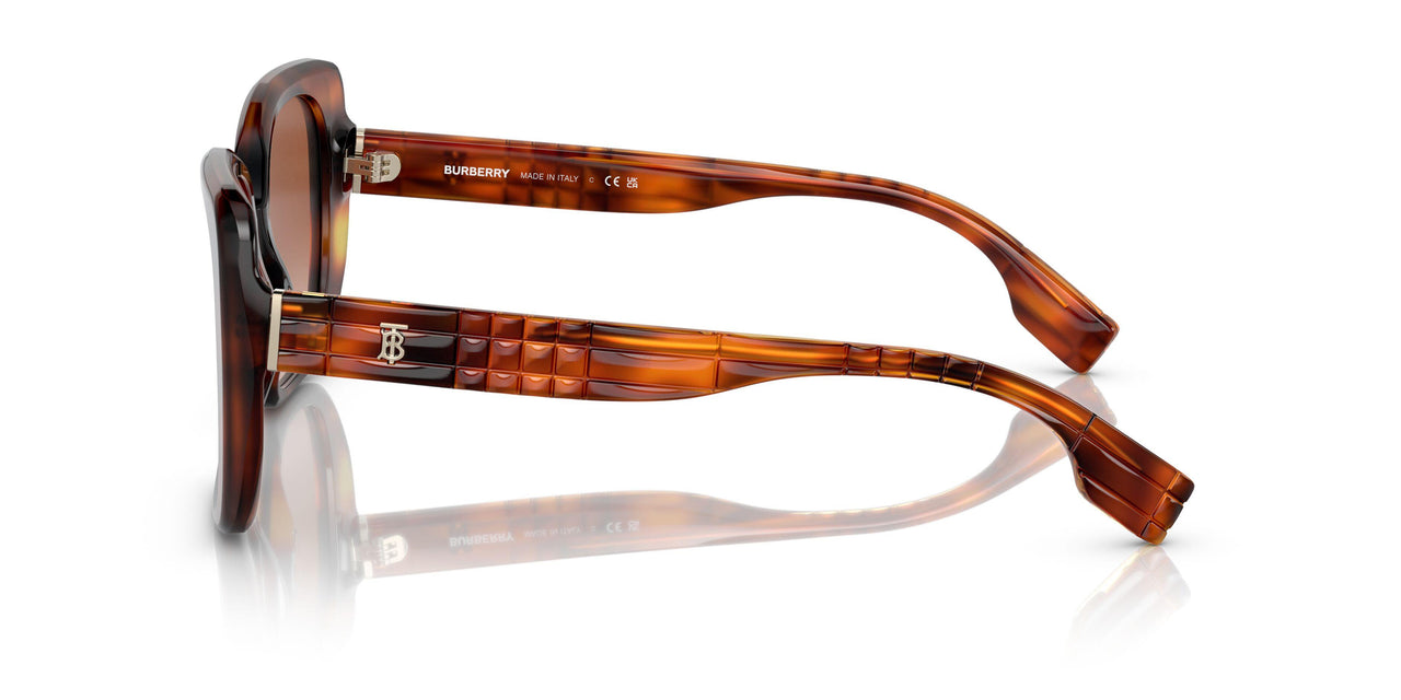 331613 - Havana - Brown Gradient