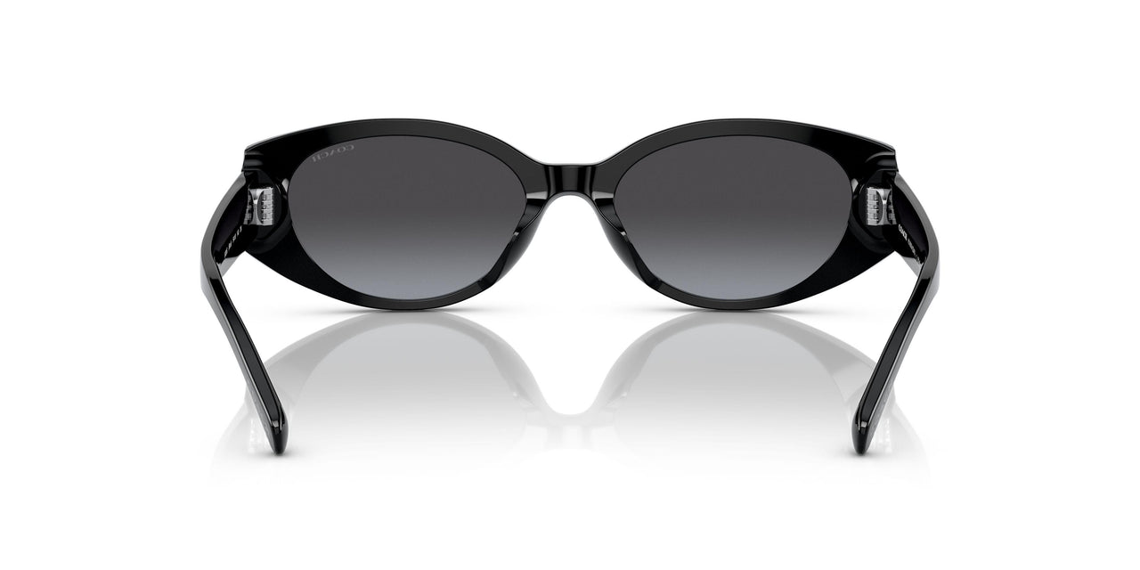 50028G - Black - Grey Gradient