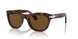 24/57 - Tortoise - Polarized Brown