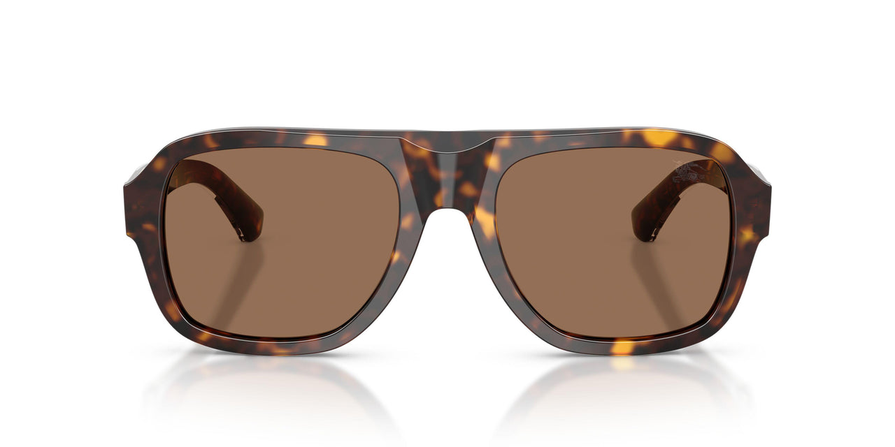 420573 - Brown - Dark Brown