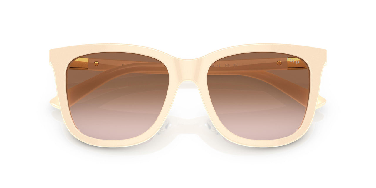 605713 - Grey - Gradient Brown