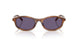 25O70W - Brown - Violet